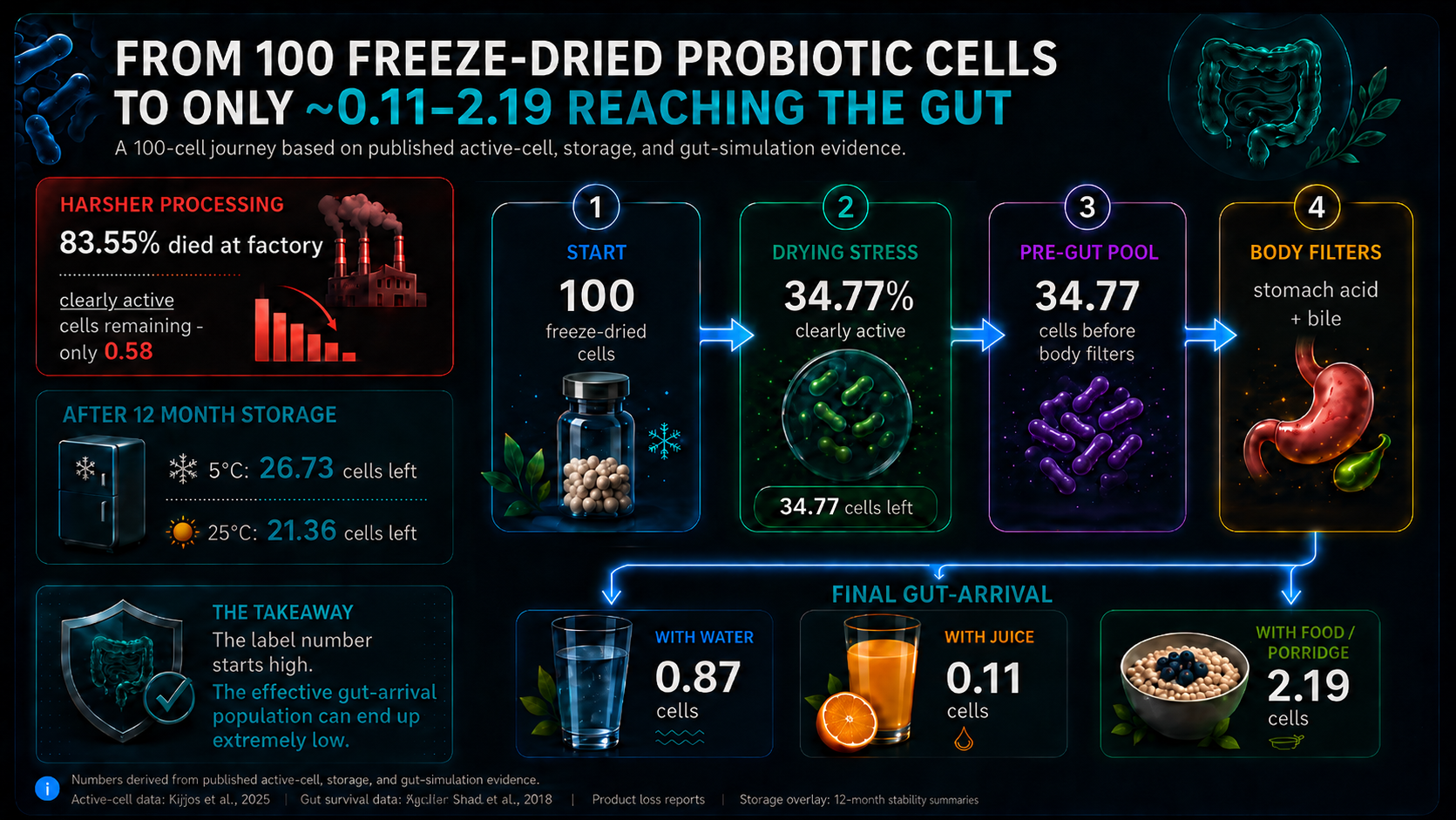 Flow diagram showing 100 freeze-dried probiotic cells falling to about 0.11–2.19 cells reaching the gut.
